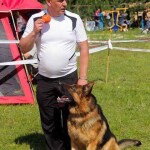 титулованный кобель для вязки