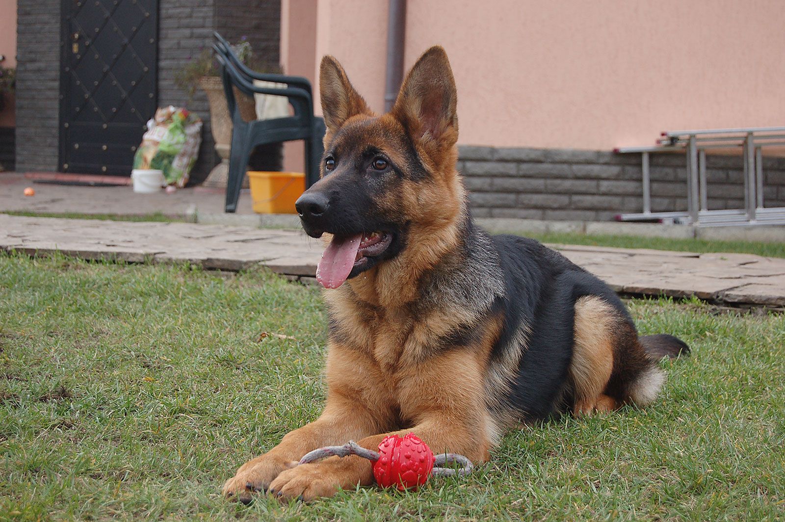 Evil Forkas Zlota (09-05-2009-12.06.2019)