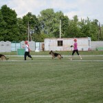 Espada Nord Storm класс открытый SG1. В классе 3 собаки