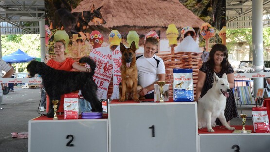 Кубок Лидера, Киев 26.07.2015