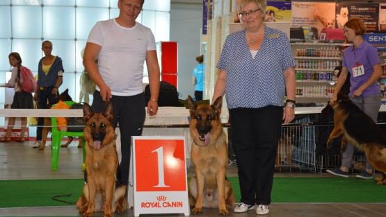 FCI-CACIB «Золотая Пектораль-2015» 28.08.2015
