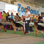 FCI-CACIB «ЗЛАТО СКИФОВ - 2015»