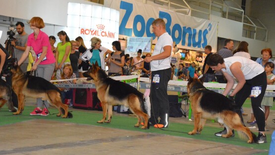 FCI-CACIB «ЗЛАТО СКИФОВ-2015» + монопородка, 29.08.2015