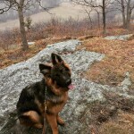 27540480_1745500702168009_8158991535384451296_n