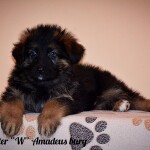 изображение_viber_2020-02-20_13-47-17