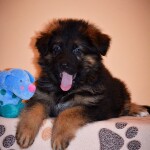 изображение_viber_2020-02-20_13-47-18
