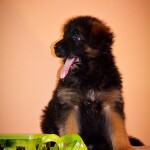 изображение_viber_2020-02-20_20-22-43