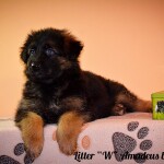 изображение_viber_2020-02-20_20-22-45