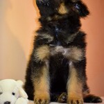 изображение_viber_2020-02-21_15-34-59