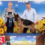 победитель евро дог шоу