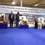 немецкая овчарка выставки