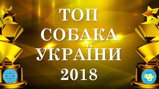 ТОП СОБАКА УКРАЇНИ 2018