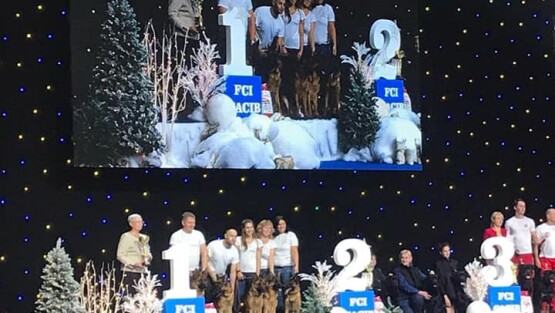 Отличное завершение сезона 2019 !