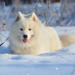 DSC_5801